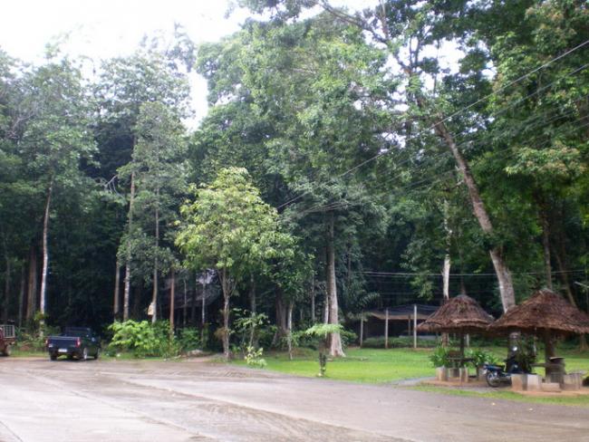 SANY7452.jpg